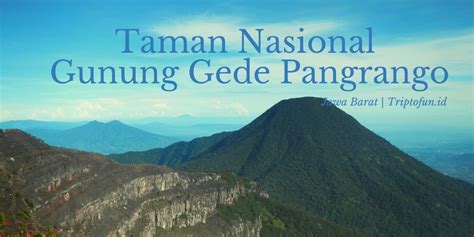 Flora dan Fauna di Gunung Gunung Pangrango Jawa Barat